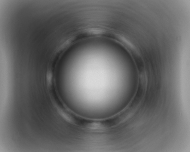 X0000113990406200910091342