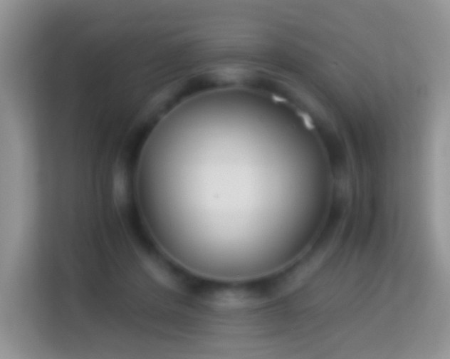 X0000113990408200910091342