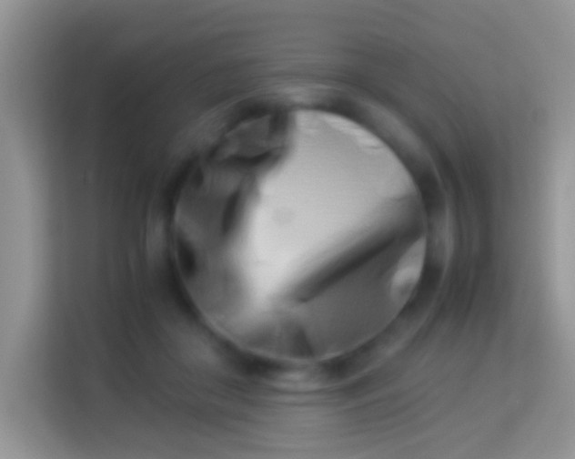 X0000113990410200910091342