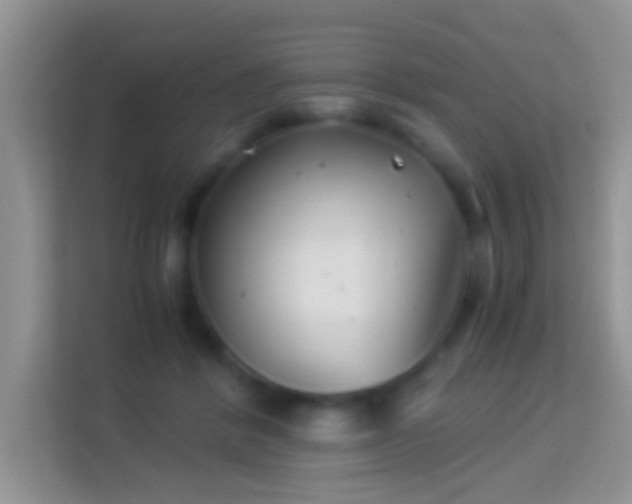 X0000113990412200910091342