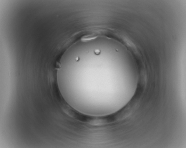 X0000113990413200910091342