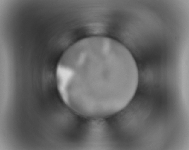 X0000113990415200910091342