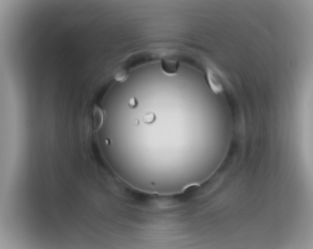 X0000113990417200910091342