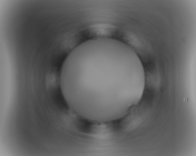 X0000113990419200910091342