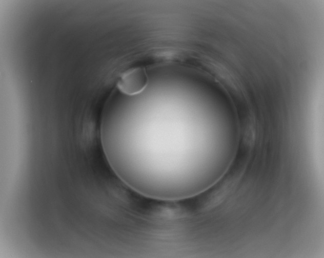 X0000113990420200910091342