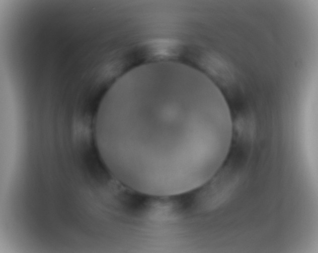 X0000113990423200910091342