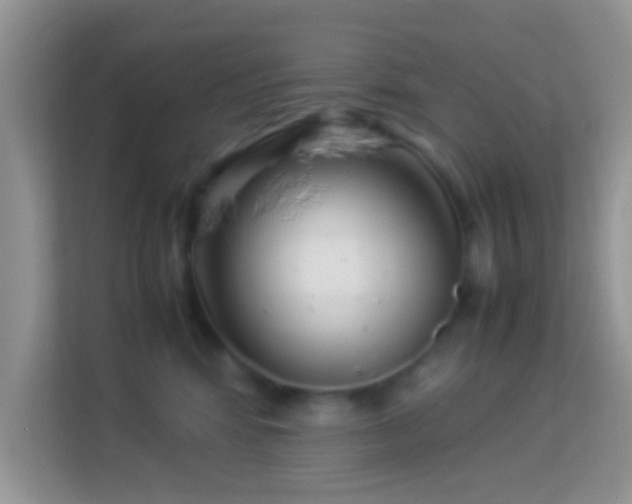 X0000113990424200910091342