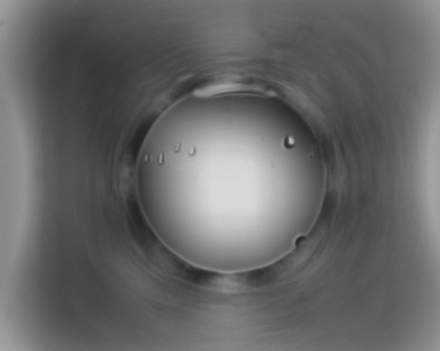 X0000113990425200910091342