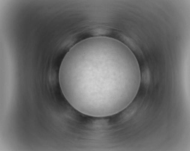 X0000113990426200910091342