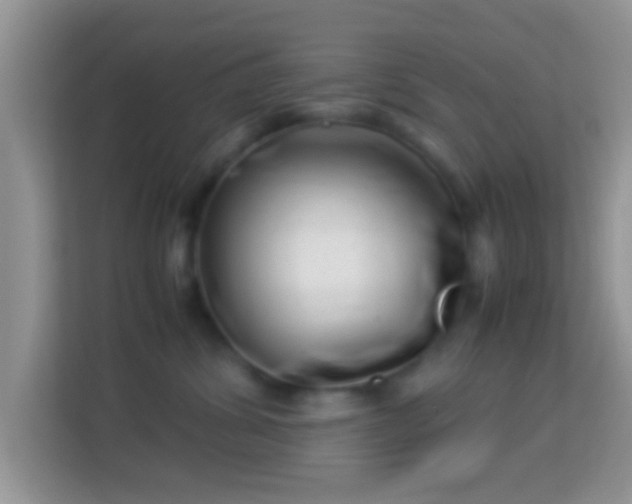 X0000113990428200910091342