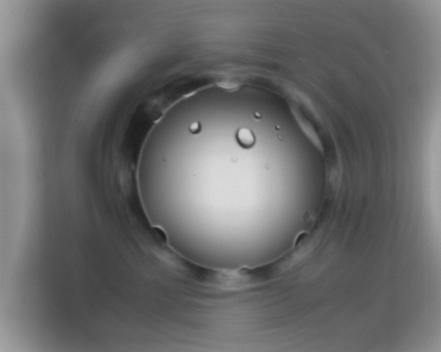 X0000113990429200910091342