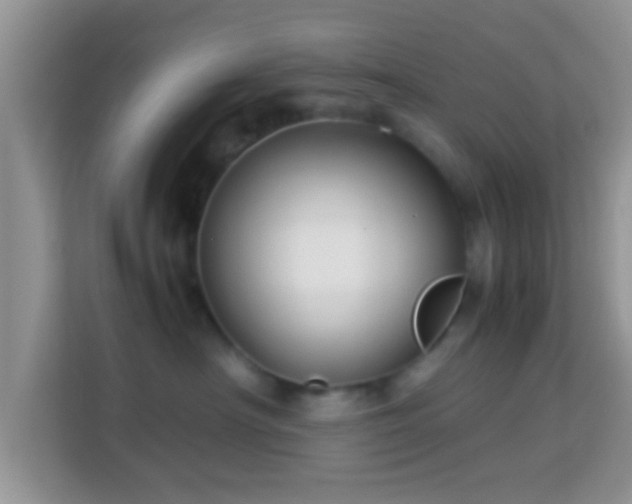 X0000113990430200910091342