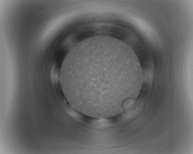 X0000113990431200910091342