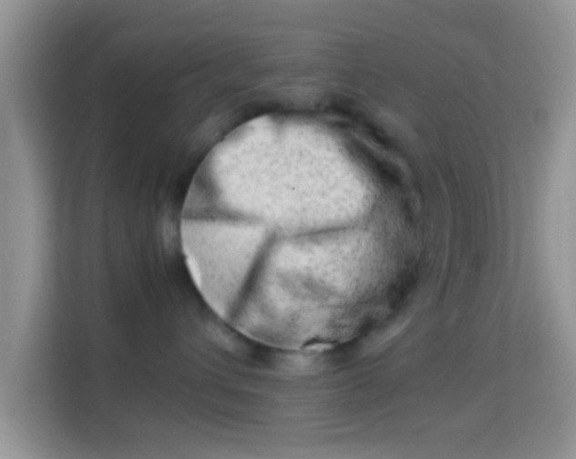 X0000113990432200910091342