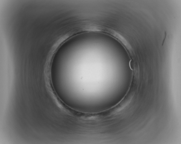 X0000113990433200910091341