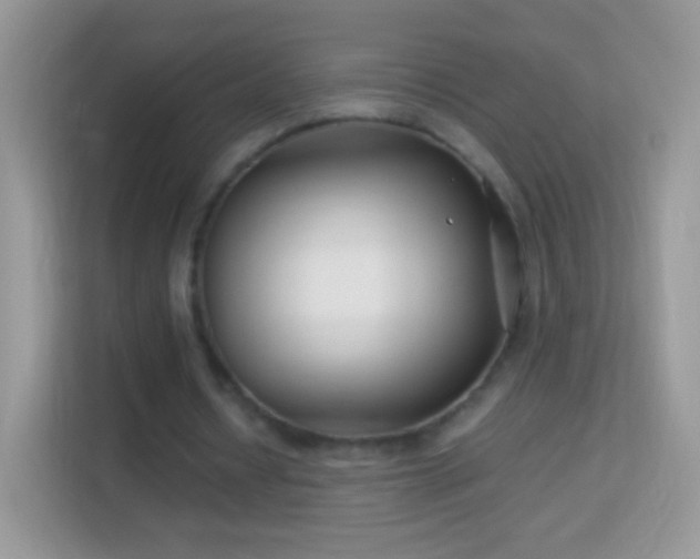 X0000113990434200910091341