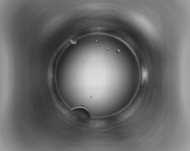 X0000113990435200910091341