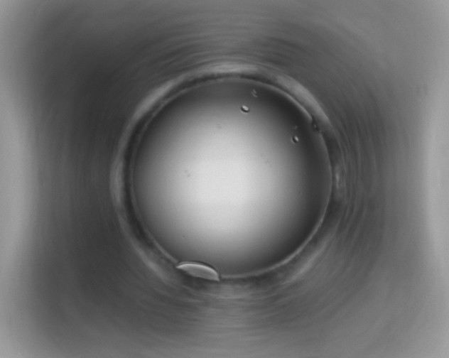 X0000113990436200910091341