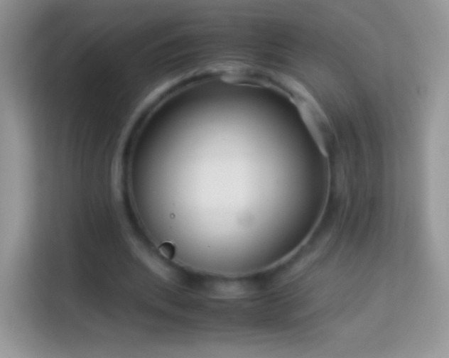 X0000113990439200910091341