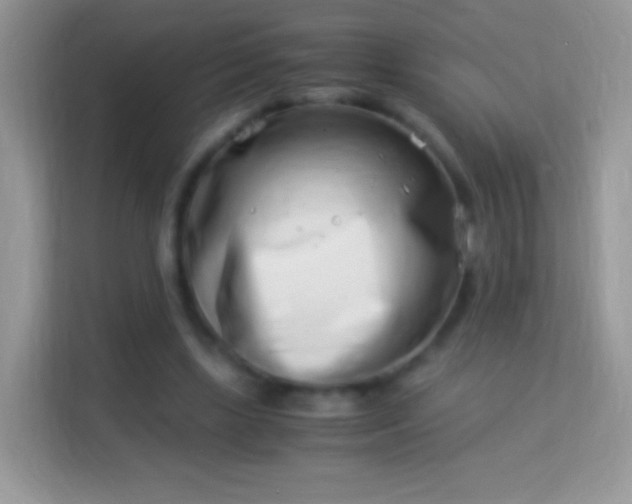 X0000113990443200910091341