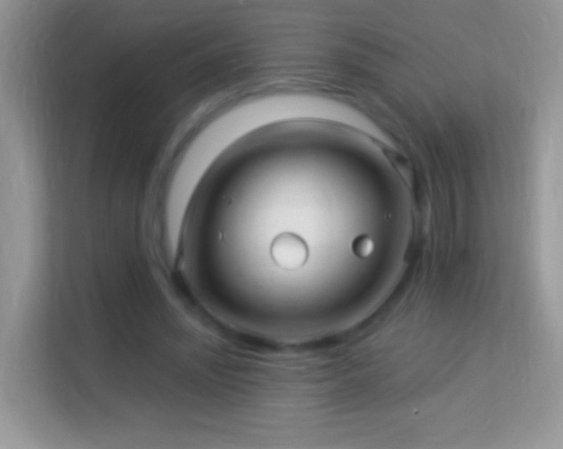 X0000113990444200910091341