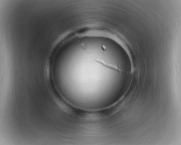 X0000113990446200910091341