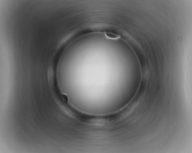 X0000113990448200910091341