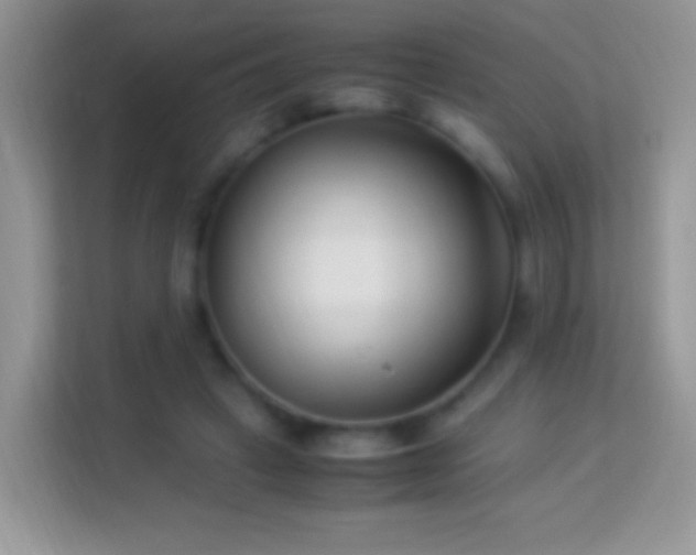 X0000113990449200910091341