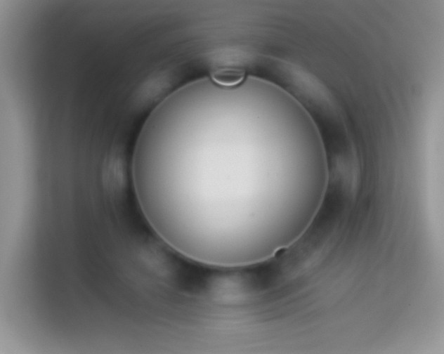 X0000113990452200910091341