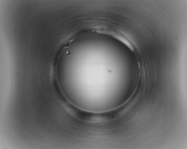 X0000113990453200910091341