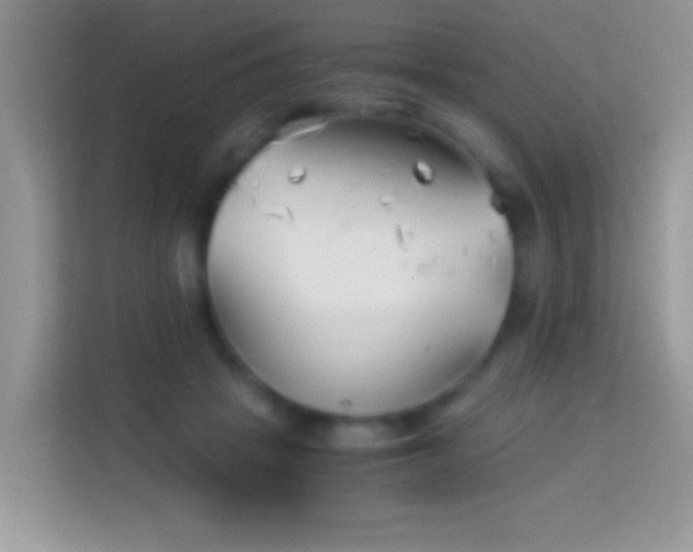 X0000113990457200910091342