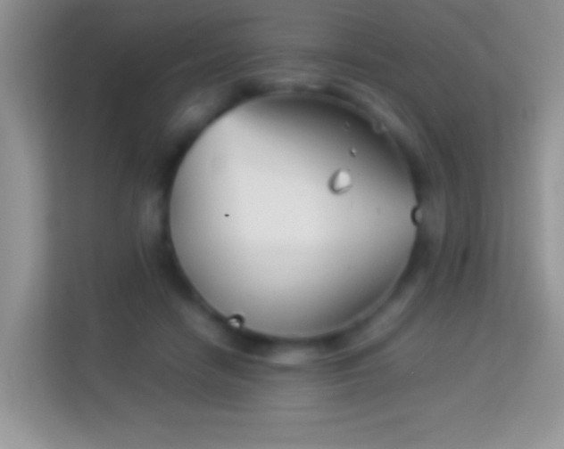 X0000113990458200910091342