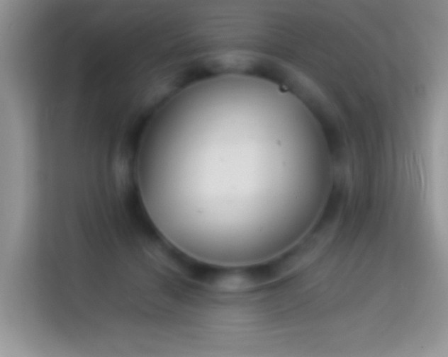 X0000113990460200910091342