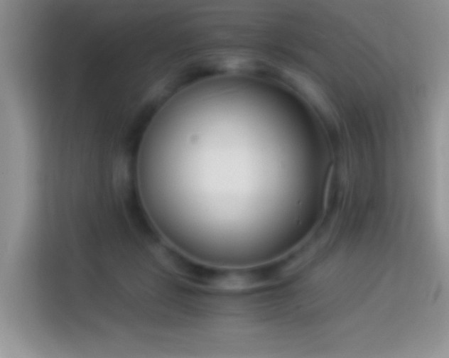 X0000113990461200910091342