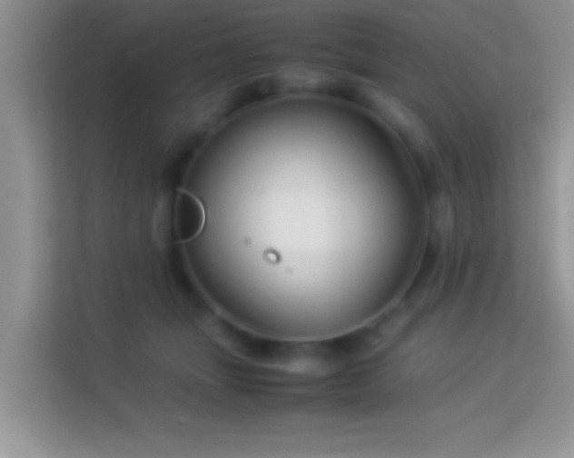 X0000113990463200910091342