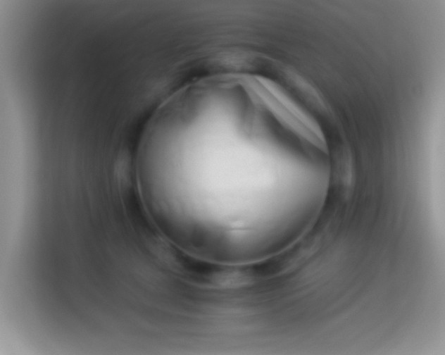 X0000113990465200910091342