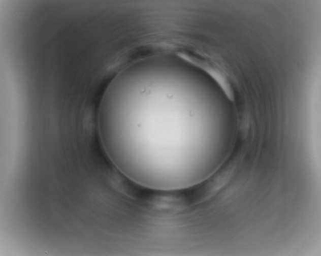 X0000113990466200910091342