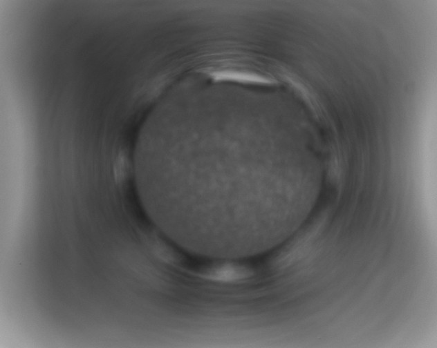 X0000113990467200910091342