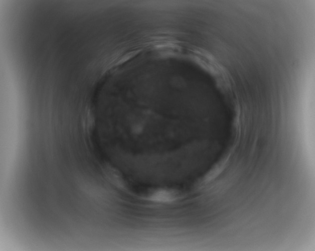 X0000113990471200910091342