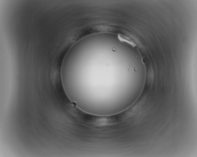 X0000113990473200910091342