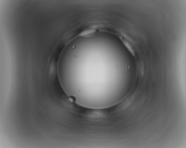 X0000113990475200910091342