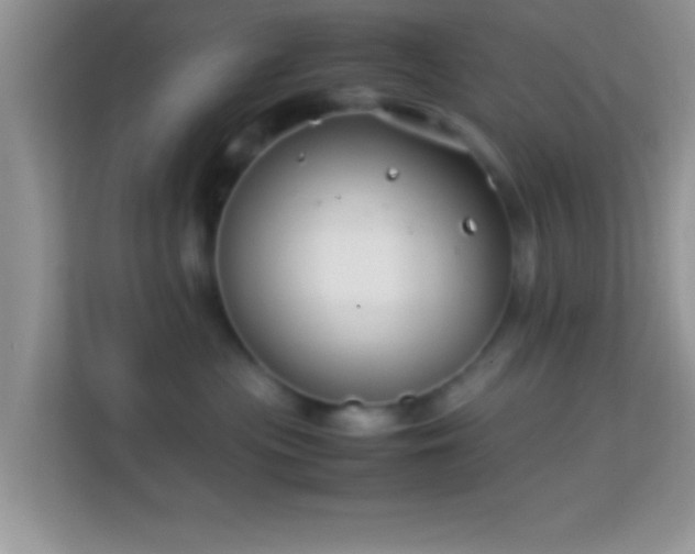 X0000113990477200910091342