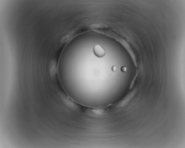 X0000113990478200910091342