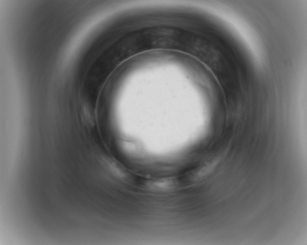 X0000113990479200910091342