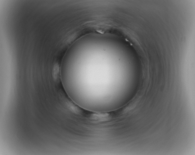 X0000113990480200910091342