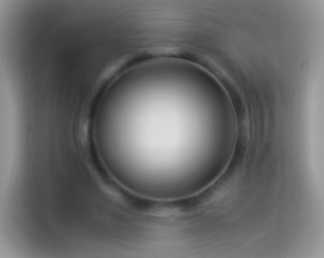 X0000113990491200910091341