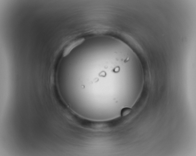 X0000113990501200910091341