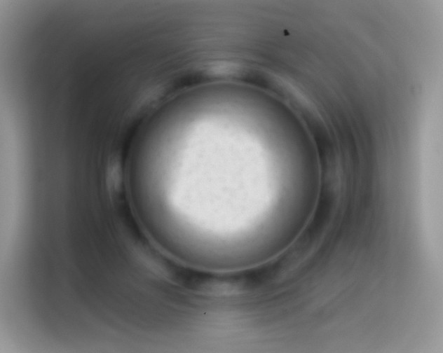 X0000113990502200910091341