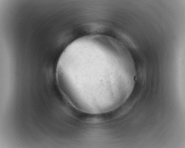 X0000113990506200910091341