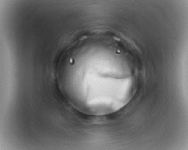 X0000113990517200910091341